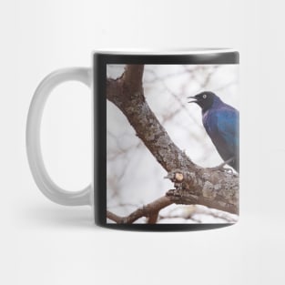 Ruppel's Long Tailed Starling Mug